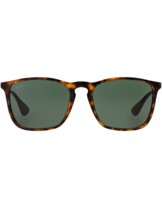 Ray Ban Rb4187 710/71 Chris Carey Negro G-15 Original Icon