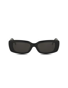 Louis Vuitton Z2109W