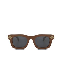 Louis Vuitton Z2529U Brown