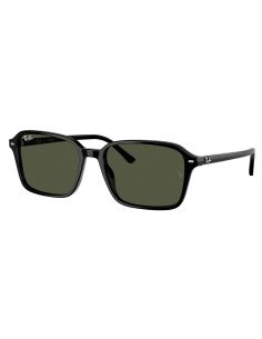 Ray Ban RB2231 901/31 Raimond