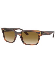 Ray Ban RB2190 954/51 Jeffrey