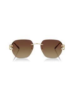 Cartier CT0394S 002 P