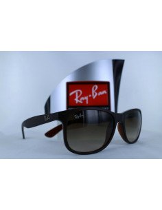 Ray Ban Rb4202 607313 Andy Cafe degradado Icon Original
