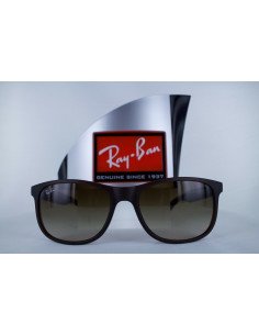 Ray Ban Rb4202 607313 Andy Cafe degradado Icon Original